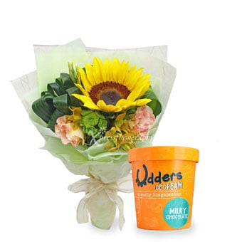 UD1803_Uplifting Surprise (1 Sunflower with Udders Ice Cream)